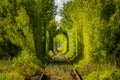 Famous Tunnel of Love in Ukraine Royalty Free Stock Photo