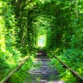 Famous `Tunnel of Love` in Ukraine Royalty Free Stock Photo