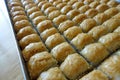 Famous Turkish baklava dessert sliced in a baking tray, Gaziantep baklava