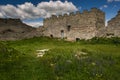 Famous Ukrainian landmark: scenic summer view of the ruins of an