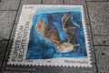 The famous Vaduz Museum of Stamps and next to it is a drawing of a stamp with a bat