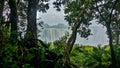 The famous Victoria Falls. In the foreground are tropical trees, ferns. Royalty Free Stock Photo