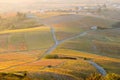 The famous vineyard of Chiroubles at the sunrise