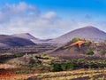 Famous vineyards of La Geria on volcanic soil Lanzarote Island Royalty Free Stock Photo