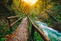 The famous Vintgar Canyon with wooden pats,Bled,Triglav,Slovenia