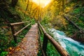 The famous Vintgar Canyon with wooden pats,Bled,Triglav,Slovenia,Europe