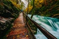 The famous Vintgar gorge Canyon with wooden pats,Bled,Triglav,Slovenia,Europe