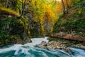 The famous Vintgar gorge Canyon with wooden pats,Bled,Triglav,Slovenia,Europe