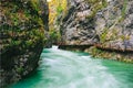 The famous Vintgar gorge Canyon with wooden pats, Bled, Triglav, Slovenia, Europe