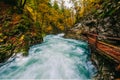 The famous Vintgar gorge Canyon with wooden pats