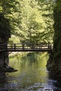 The famous Vintgar gorge Canyon with wooden pats near Bled, Triglav Royalty Free Stock Photo