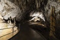 The famous Vintgar gorge Canyon with wooden pats near Bled, Triglav Royalty Free Stock Photo