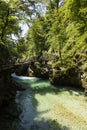 The famous Vintgar gorge Canyon with wooden pats near Bled, Triglav Royalty Free Stock Photo