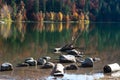 Autumn landscape,St Ana Lake,Transylvania,Romania