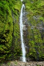 Famous Waimoku Falls waterfall at the head of the Pipiwai Trail, above Seven Sacred Pools on the Road to Hana. Maui, Hawaii. Royalty Free Stock Photo