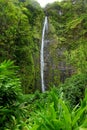 Famous Waimoku Falls waterfall at the head of the Pipiwai Trail, above Seven Sacred Pools on the Road to Hana. Maui, Hawaii.