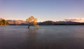 Famous That Wanaka Three in New Zealand in the gusty wind of the morning Golden hour, long exposure Royalty Free Stock Photo