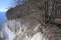 Famous white cliffs in Jasmund National Park Royalty Free Stock Photo