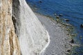 Famous white cliffs in Jasmund National Park