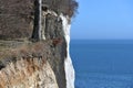 Famous white cliffs in Jasmund National Park