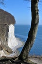 Famous white cliffs in Jasmund National Park Royalty Free Stock Photo