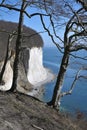 Famous white cliffs in Jasmund National Park