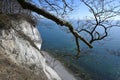 Famous white cliffs in Jasmund National Park Royalty Free Stock Photo