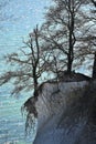 Famous white cliffs in Jasmund National Park