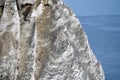 Famous white cliffs in Jasmund National Park Royalty Free Stock Photo