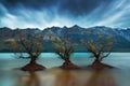 The famous willow tree row in Glenorchy, South Island, New Zealand. Located near Queenstown, Glenorchy is a New Zealand