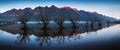 The famous willow tree row in Glenorchy, South Island, New Zealand. Located near Queenstown, Glenorchy is a New Zealand paradise.