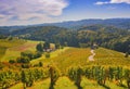 Famous Wine Road in the shape of a heart, a charming region on the border between Austria and Slovenia with green rolling hills, Royalty Free Stock Photo