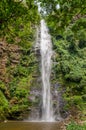 The famous Wli water falls, the highest waterfall in West Africa, surrounded by lush tropical forest, Ghana