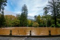 The famous yellow thermal pool in the Terra Nostra botanical garden at Furnas, Sao Miguel island, Azores, Portugal Royalty Free Stock Photo