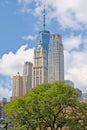 Famus skyscrapers of Manhattan, New York towering above a tree Royalty Free Stock Photo