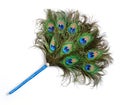 Peacock feather fan