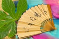 The fan with the characters lying on a green leaf Royalty Free Stock Photo