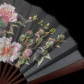 Fan with Chinese painting close-up. Royalty Free Stock Photo