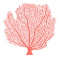 Fan coral hand drawn illustration Royalty Free Stock Photo