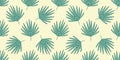 Fan Palm Leaf Pattern. Doodle style. Washingtonia. Seamless print exotic Plants. Botany, herbs. Tropical summer. Color