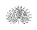 Fan palm plant. Tropical or exotic leaves and leaf. Vintage fern. Engraved flowers. Hand drawn. Botanical background.