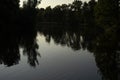 Fan on pond in park. Forest reflection in water. Lake after sunset Royalty Free Stock Photo