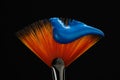 Fan shaped paintbrush with paint in blue color at the tip. Artistic flat fan shaped paintbrush against a black background