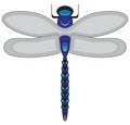 Fanciful Stylized Dragonfly