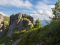 Fancy ancient stones and young cedars in the Ergaki Natural Park