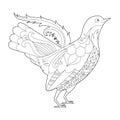 Fancy bird grouse. Black and white picture. Contour linear illustration for coloring book with paradise birds. Line art design for Royalty Free Stock Photo