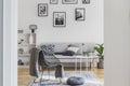 Fancy metal chair with grey blanket next to grey pouf in trendy living room Royalty Free Stock Photo