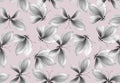 Fancy black and white butterfly seamless pattern.