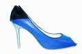 Fancy blue shoes Royalty Free Stock Photo
