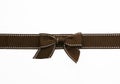 Fancy brown ribbon gift bow